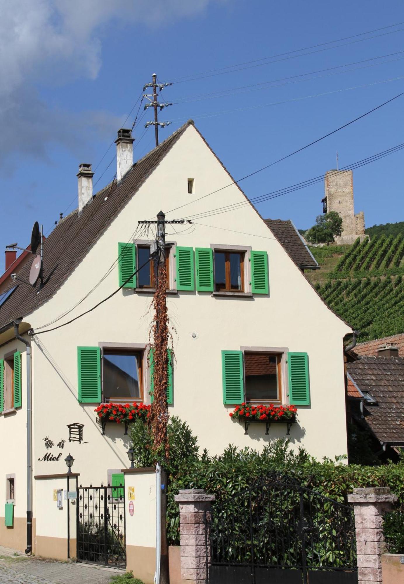 Les Gites 2-4 Pers Remy Herold Katzenthal Экстерьер фото